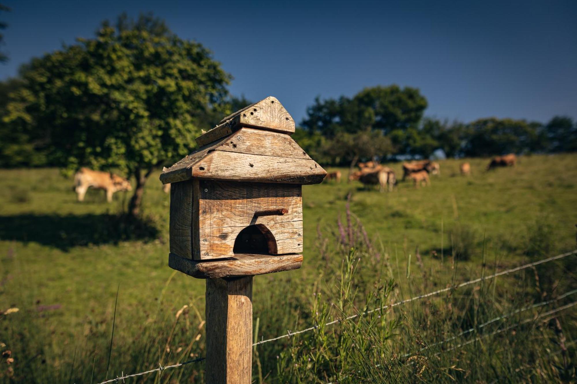 Finca La Naguada Casa Rural En Asturias Beloncio エクステリア 写真