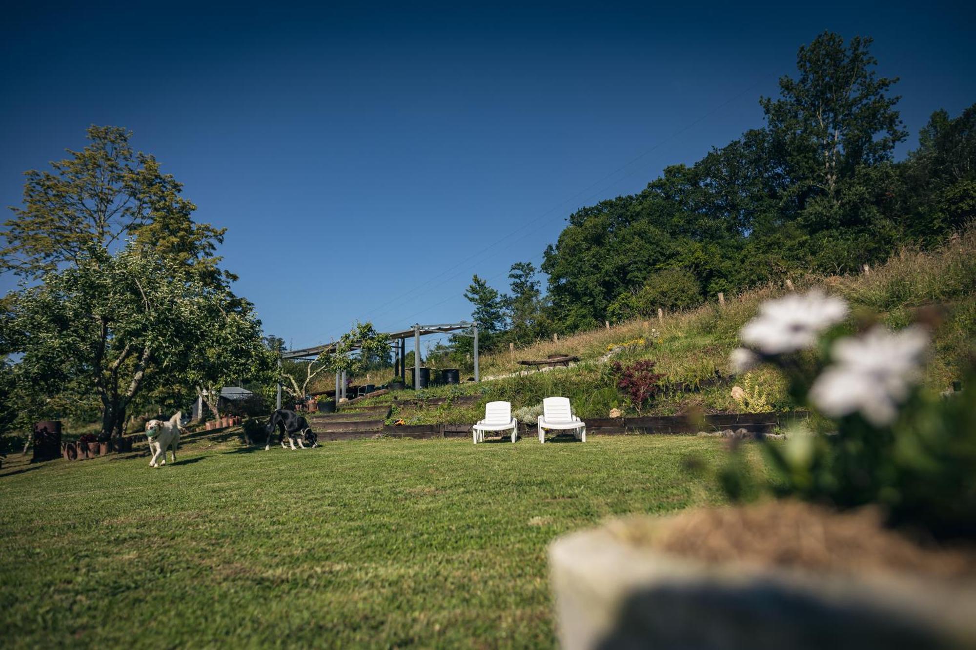 Finca La Naguada Casa Rural En Asturias Beloncio エクステリア 写真