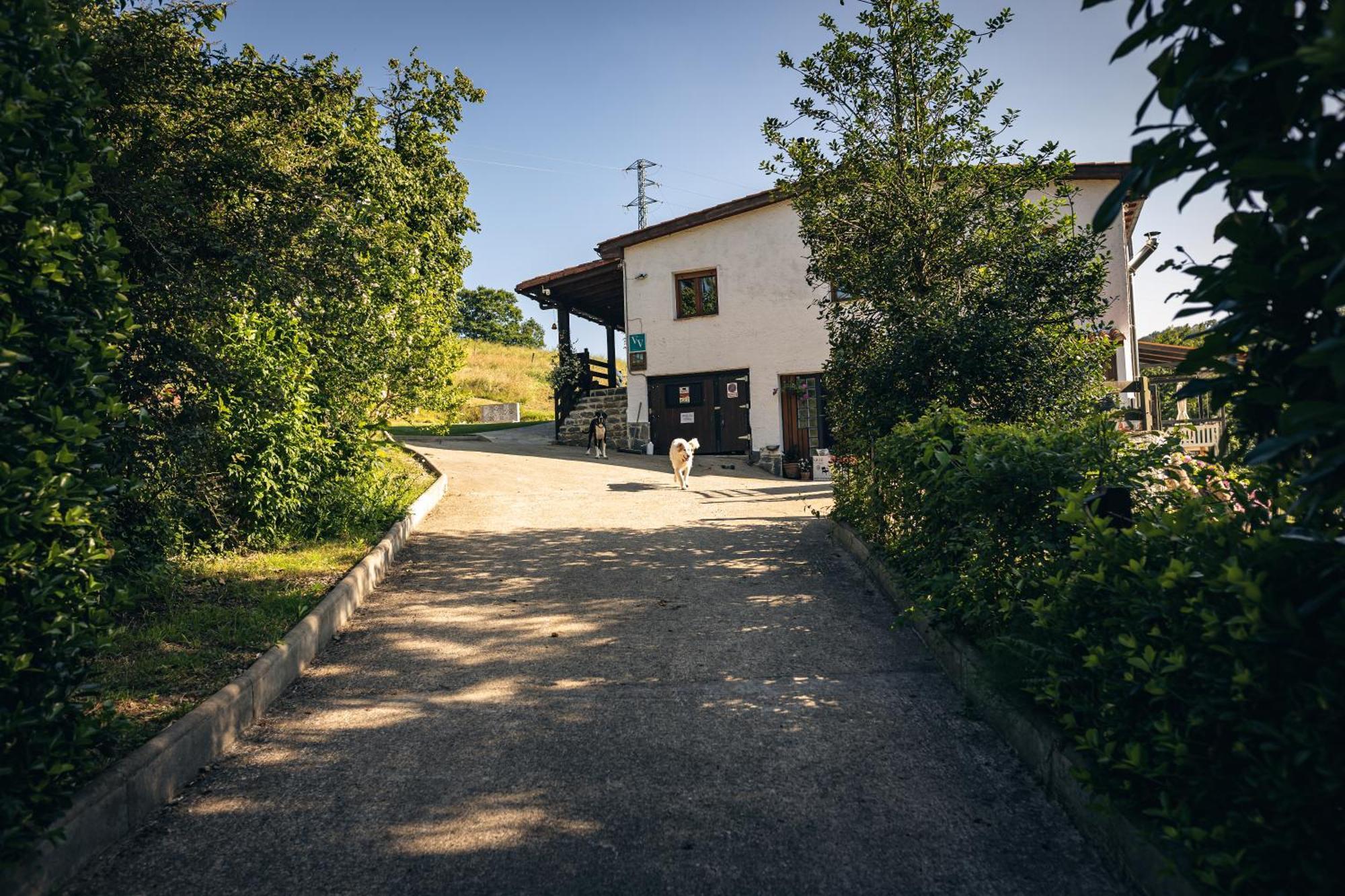 Finca La Naguada Casa Rural En Asturias Beloncio エクステリア 写真