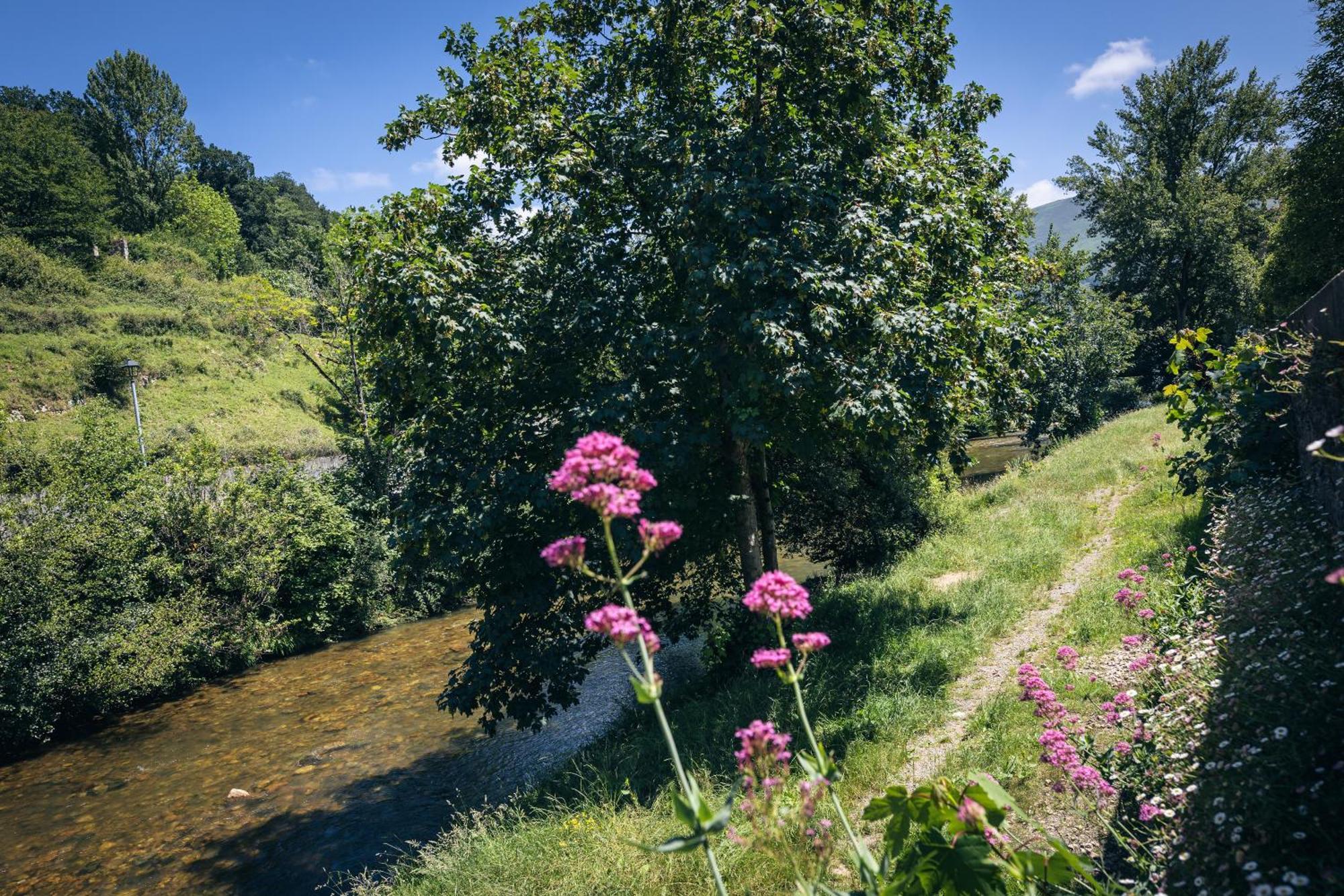 Finca La Naguada Casa Rural En Asturias Beloncio エクステリア 写真